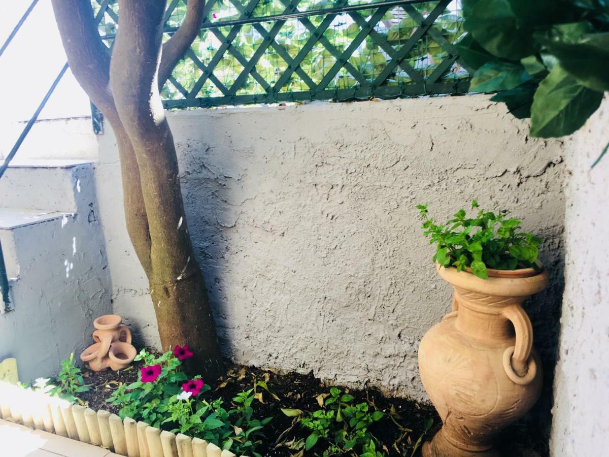 מלון טלארו Il Giardino Segreto מראה חיצוני תמונה